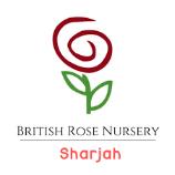Best Affordable Nurseries in Sharjah