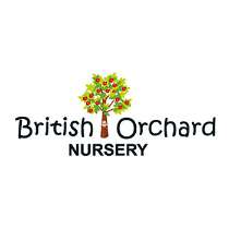 Best Affordable Nurseries in Sharjah (2)