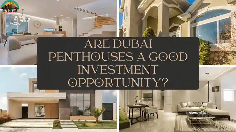 Are Dubai Penthouses a Good Investment Opportunity